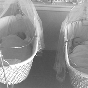 Waitara nursery babies